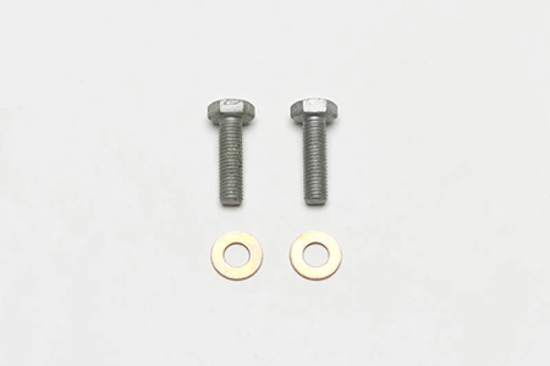 Wilwood Bolt Kit Bracket Mount M10-1.50 Thread - 2 Qty - Side View