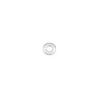 Load image into Gallery viewer, Wilwood STAINLESS .156 IDx.312 ODx.027 Washer