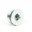 Load image into Gallery viewer, Winters Falcon Fill Plug 68035