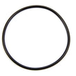 Load image into Gallery viewer, Winters Seal Plate O-ring 7413