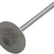 Load image into Gallery viewer, X2 Titanium Valve - Intake - Main Product View
