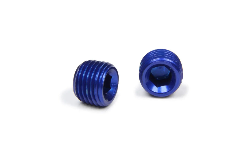XRP 1/4in Allen Head Pipe Plug (2pk) 993203