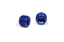 Load image into Gallery viewer, XRP 1/4in Allen Head Pipe Plug (2pk) 993203