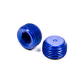 Load image into Gallery viewer, XRP 3/8in Male Pipe Plug (2pk) 993204