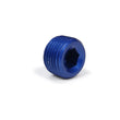 Load image into Gallery viewer, XRP Allen Pipe Plug - 1/2in 993205