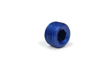 Load image into Gallery viewer, XRP Allen Pipe Plug - 1/2in 993205