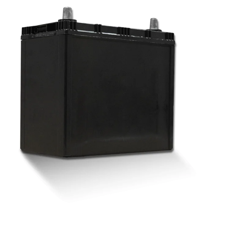 Yuasa 46B24R/NS60 Import Specialty 12-Volt Battery