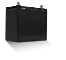 Load image into Gallery viewer, Yuasa 46B24R/NS60 Import Specialty 12-Volt Battery