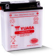 Load image into Gallery viewer, Yuasa YB12AL-A2 Yumicron 12-Volt Battery