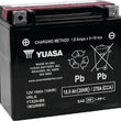 Load image into Gallery viewer, Yuasa YTX20-BS Maintenance Free AGM 12-Volt Battery w/Bottle - Main Product View