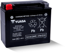Load image into Gallery viewer, Yuasa YTX20 Maintenance Free AGM 12-Volt Battery