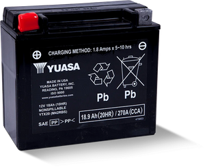 Yuasa YTX20 Maintenance Free AGM 12-Volt Battery