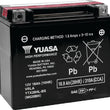 Load image into Gallery viewer, Yuasa YTX20HL-BS High Performance AGM Battery w/Bottle - Main Product View