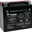 Load image into Gallery viewer, Yuasa YTX20HL-BS-PW High Performance AGM Battery w/Bottle - Main Product View