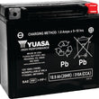 Load image into Gallery viewer, Yuasa YTX20HL Maintenance Free AGM 12-Volt Battery - Main Product View