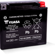 Load image into Gallery viewer, Yuasa YTX20L Maintenance Free AGM 12-Volt Battery - Side View