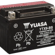 Load image into Gallery viewer, Yuasa YTX9-BS Maintenance Free AGM 12-Volt Battery w/Bottle
