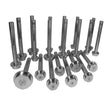 Load image into Gallery viewer, Yukon Gear Bearing Race Driver Set / 21 Piece - Back View