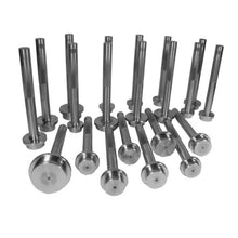 Load image into Gallery viewer, Yukon Gear Bearing Race Driver Set / 21 Piece - Back View