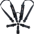 Load image into Gallery viewer, Z Broz Racing - 2" 5 Point Cam Lock Harness - 249-90060