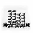 Load image into Gallery viewer, Z Broz Racing - Dual Rate Spring Kit Hon - 249-6018