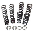 Load image into Gallery viewer, Z Broz Racing - Dual Rate Spring Kit Pol - 249-6004