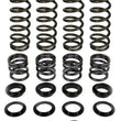 Load image into Gallery viewer, Z Broz Racing - Dual Rate Spring Kit Pol - 249-6020
