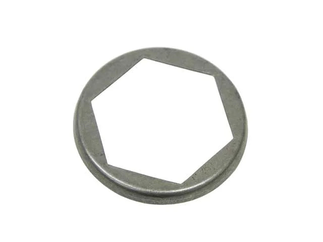 ZF Lock Plate 0730 749 139
