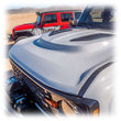 Load image into Gallery viewer, Photo - Close Up
