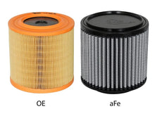 Load image into Gallery viewer, aFe MagnumFLOW OE Replacement Filter w/ Pro Dry S Media (Pair) 04-16 Aston Martin DB9 V12-6.0L - Side View