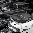 Load image into Gallery viewer, aFe Momentum GT Pro 5R Cold Air Intake System 15-17 BMW M3/M4 S55 (tt) - Back View