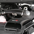 Load image into Gallery viewer, aFe Momentum GT Pro DRY S Intake System 2016 Ford F-150 EcoBoost V6-2.7L/3.5L (tt) - Side View