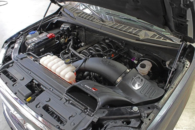 aFe Momentum GT Pro Dry S Stage-2 Intake System 15-17 Ford F-150 V8 5.0L - Side View