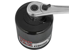 Load image into Gallery viewer, aFe Pro GUARD D2 Oil Filter 00-14 GM Gas Trucks V6 4.3L (4 Pack) - Side View