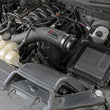 Load image into Gallery viewer, aFe Super Stock Induction System Pro Dry S Media 15-20 Ford F-150 V8-5.0L - Side View