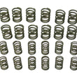 Load image into Gallery viewer, aasco motorsports Valve Spring Set HP109 KIT
