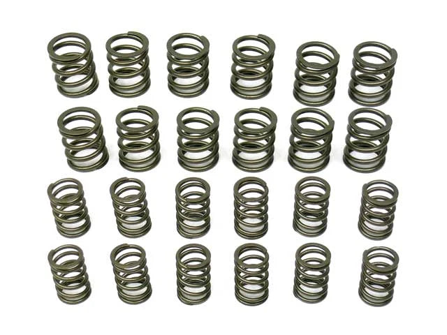 aasco motorsports Valve Spring Set HP109 KIT