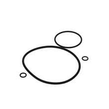 Load image into Gallery viewer, Photo - Primary