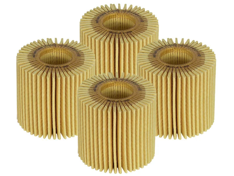 afe PROGUARD Oil Filter - Main Product View