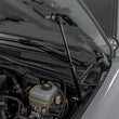 Load image into Gallery viewer, Hood Struts | Hydraulic | Toyota Tacoma 2WD/4WD (2016-2023)