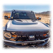 Load image into Gallery viewer, Photo - Close Up