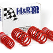 Load image into Gallery viewer, H&amp;R (AWD) B5 Race Spring fits 1998-2001 Audi A4 Quattro Avant / 1996-2001 Audi A4 Quattro