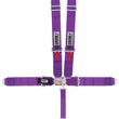 Load image into Gallery viewer, crow safety 5-Pt Harness Small Latch Purple Bolt In Pull Down 11005