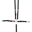 Load image into Gallery viewer, crow safety 5-Pt Harness System LL Jr Pull Up Lap Belt 11184A