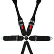 Load image into Gallery viewer, crow safety 6 Way Kam Lock Clip In Pull Down Black 11144-6DB