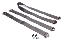 Load image into Gallery viewer, crow safety Tethers For Sprint Car Non-Wing Chassis SP-57