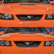 Load image into Gallery viewer, Photo - Close Up