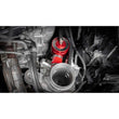 Load image into Gallery viewer, Photo - Close Up