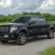 Load image into Gallery viewer, Nerf Steps | 3-Inch Tube | Crew Cab | Ford F-150 2WD/4WD (2009-2014)