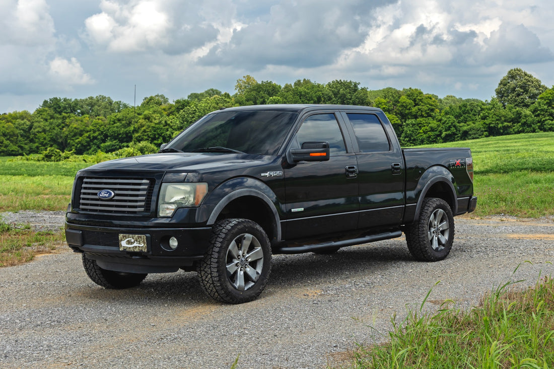 Nerf Steps | 3-Inch Tube | Crew Cab | Ford F-150 2WD/4WD (2009-2014)